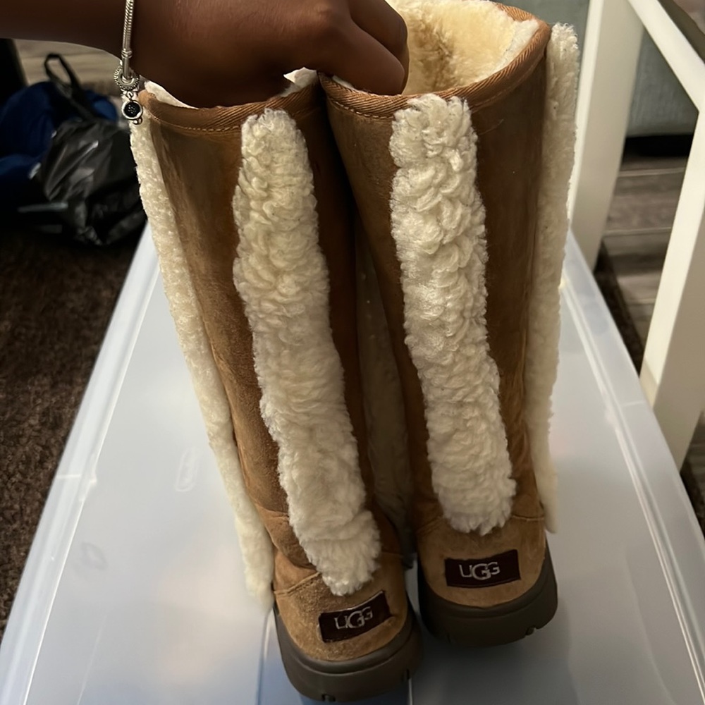 Sunburst uggs